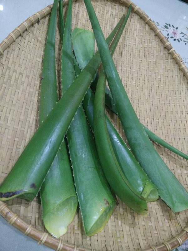 Minuman Penyejuk Badan, Banyak Khasiat Dan Manfaat. 2 