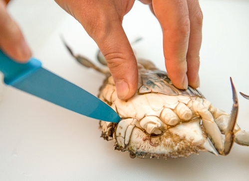 Ini Tip Paling Mudah Bersihkan Ketam - RASA