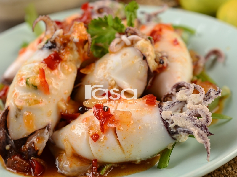 Sotong - RASA