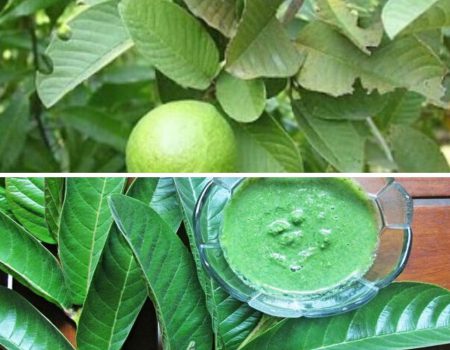 Bangkit Keju Garing & Cair Di Mulut, Sedap Berkrim - RASA