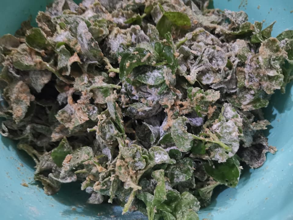 Resipi Keropok Bayam Brazil, Sedap Buat Kudap-Kudapan 