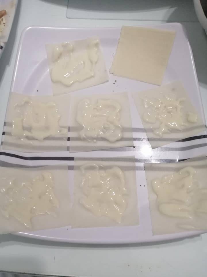 101083587_3058076024239319_6924357880658621838_n - RASA